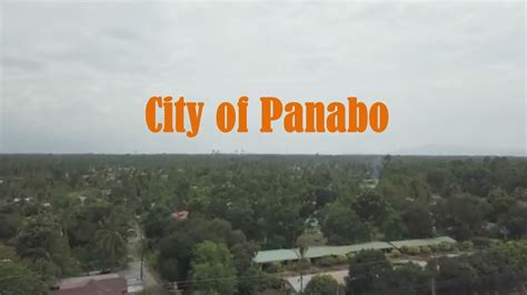 history of panabo city